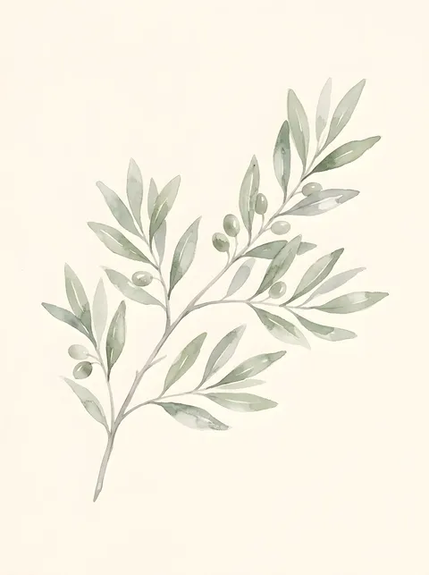 Olivenzweig