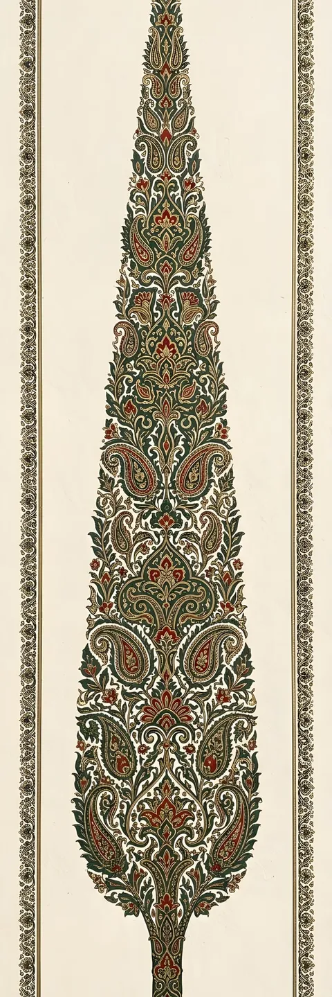 سایپرس بوته
